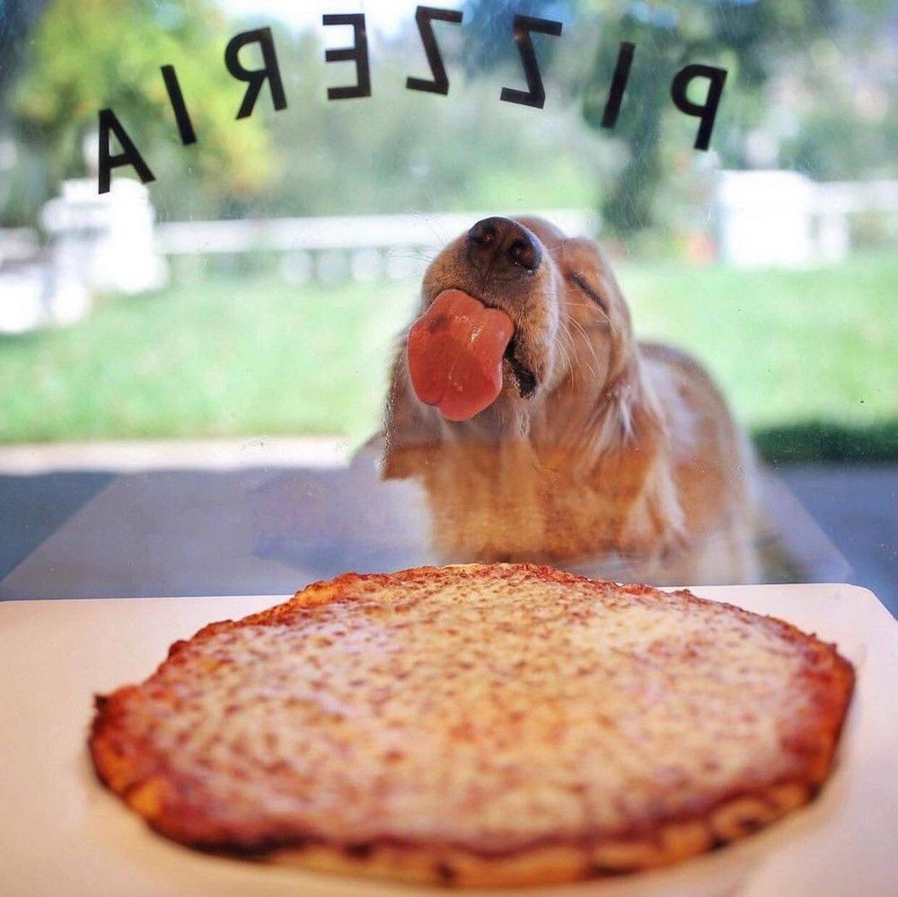 Pizzakiller