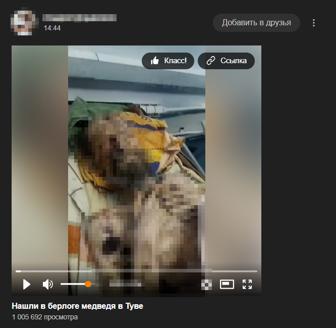 мужик пролежал в месяц в медвежьей пещере