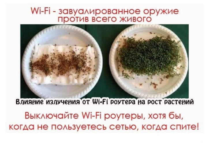 Screenshot 2023 08 29 At 11 33 41 Zapis Na Stene 1