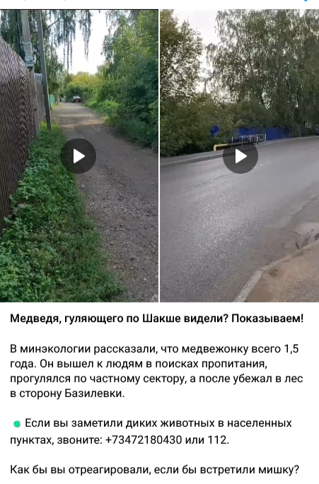 Screenshot 2023 08 31 At 15 25 17 Koroche Ufa