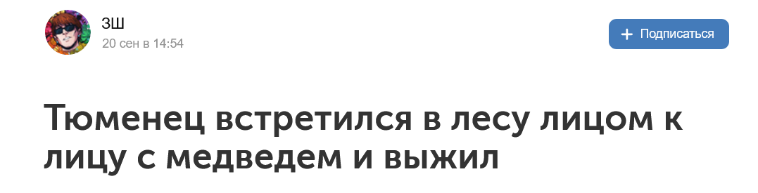Screenshot 2023 09 22 At 10 59 11 Tjumenec Vstretilsja V Lesu Licom K Licu S Medvedem I Vyzhil