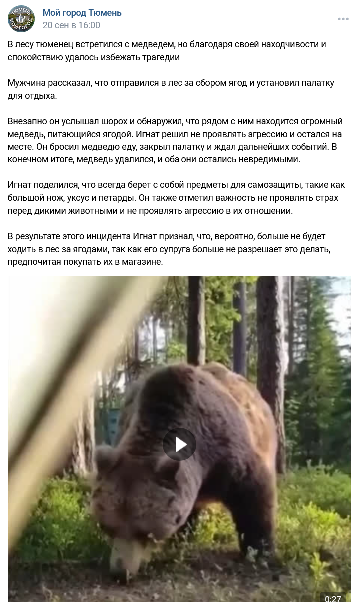 медведь в Тюмени на улице
