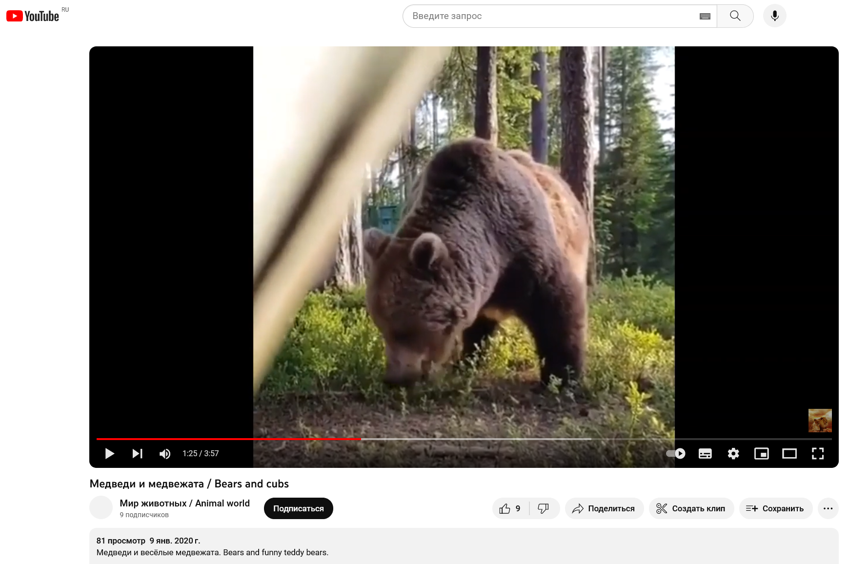 Screenshot 2023 09 22 At 11 28 29 Medvedi I Medvezhata   Bears And Cubs