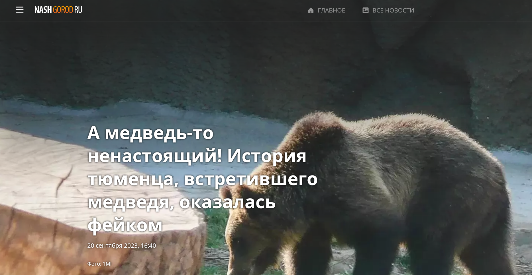 история тюменца встретившего медведя оказалась фейком