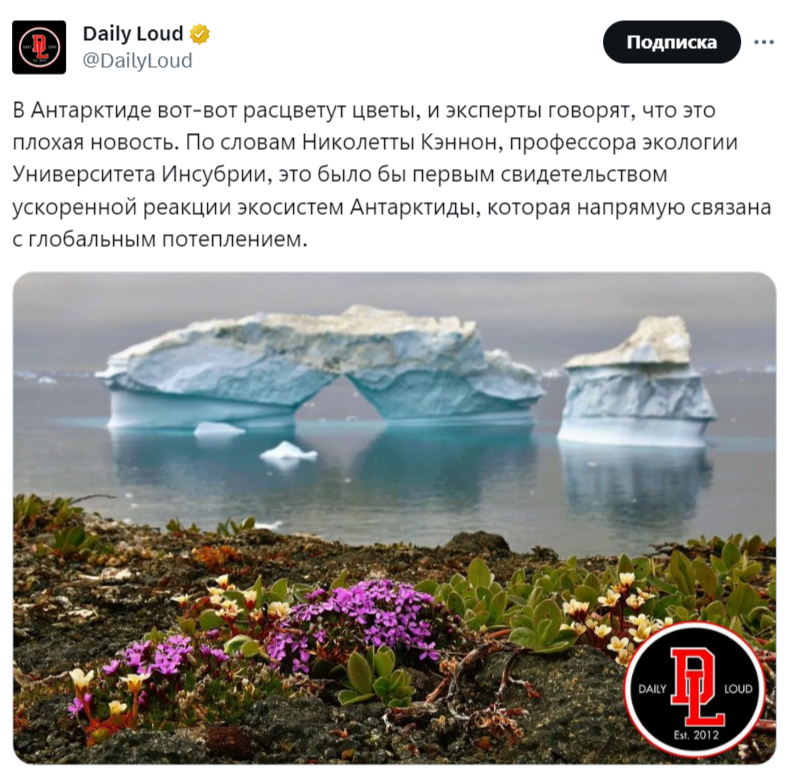 растения расцвели в Антарктиде
