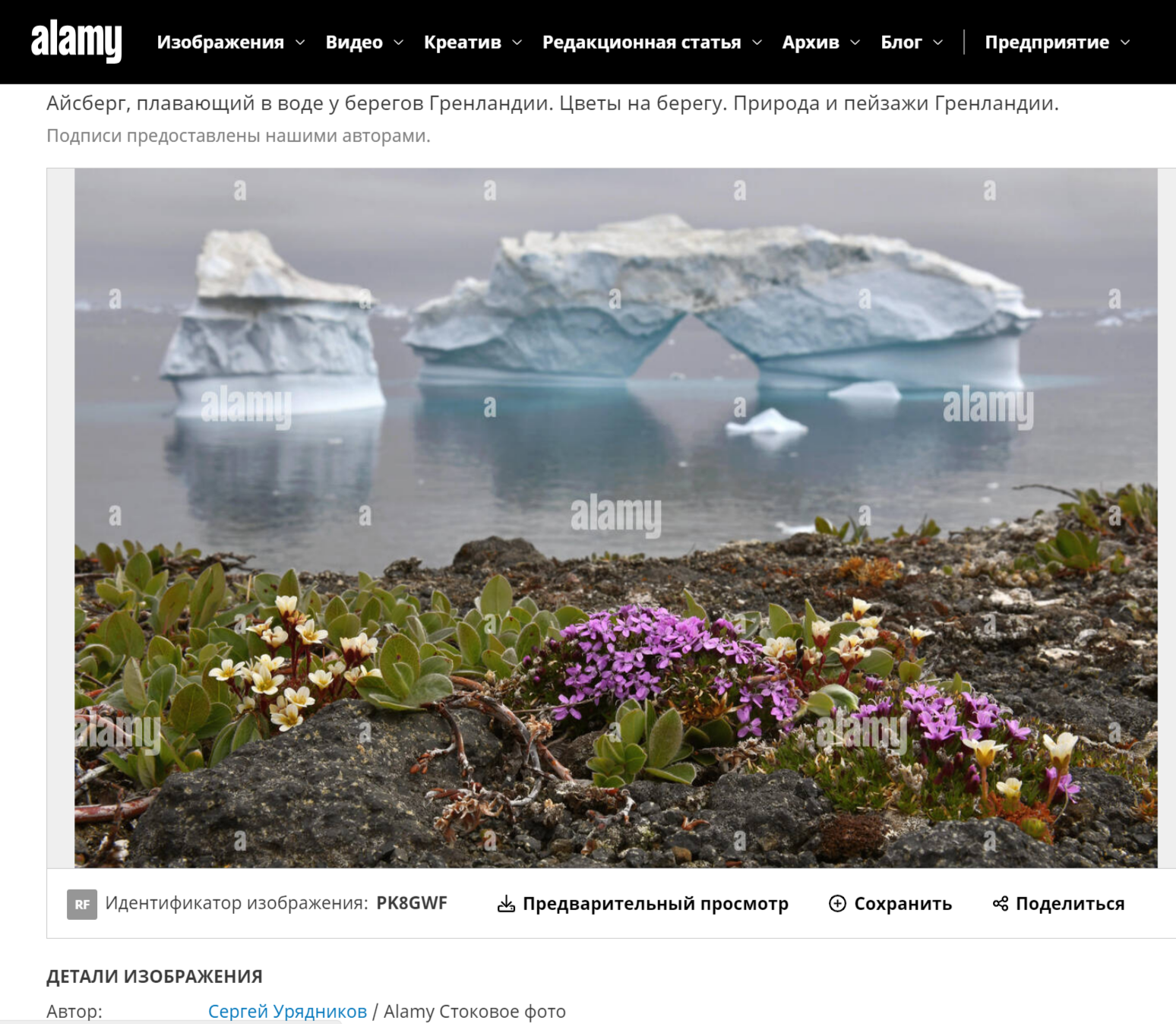 в Антарктиде цветут цветы alamy