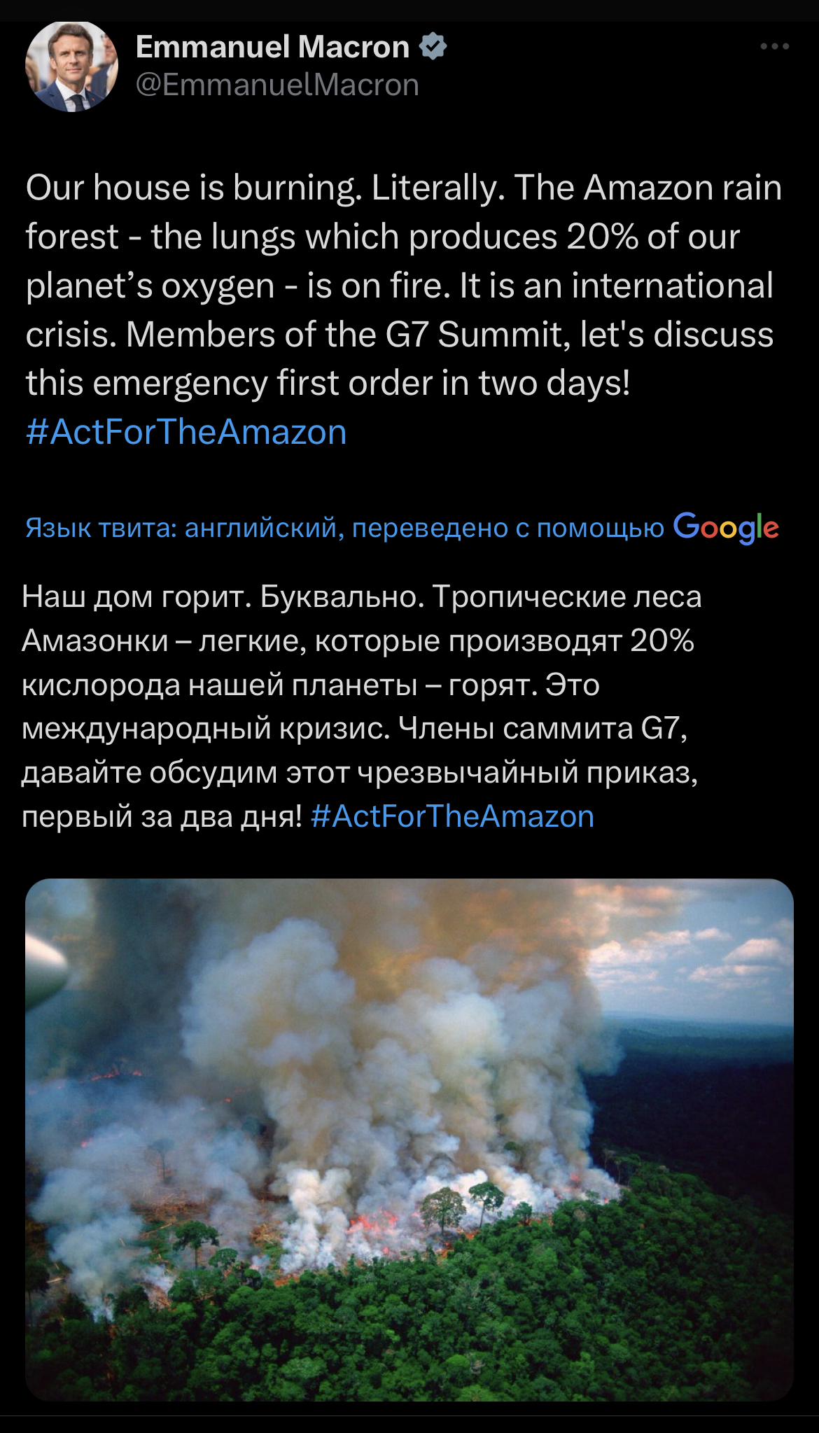 леса Амазонии производят пятую часть всего кислорода