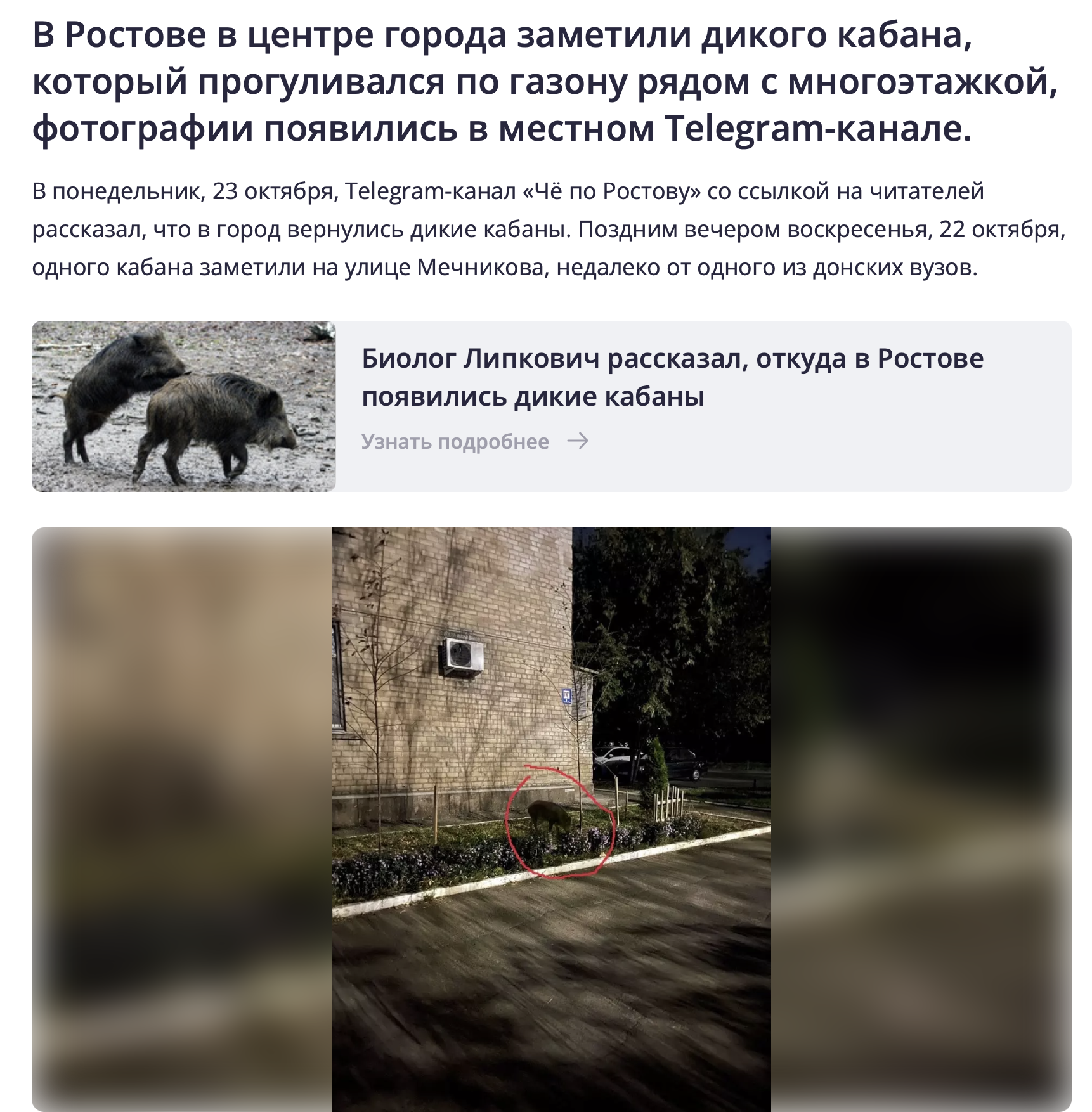 Snimok Jekrana 2023 10 23 V 19.28.39