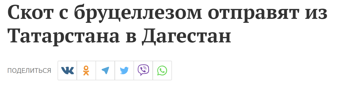 скот с бруцеллезом отправят из Татарстана в Дагестан