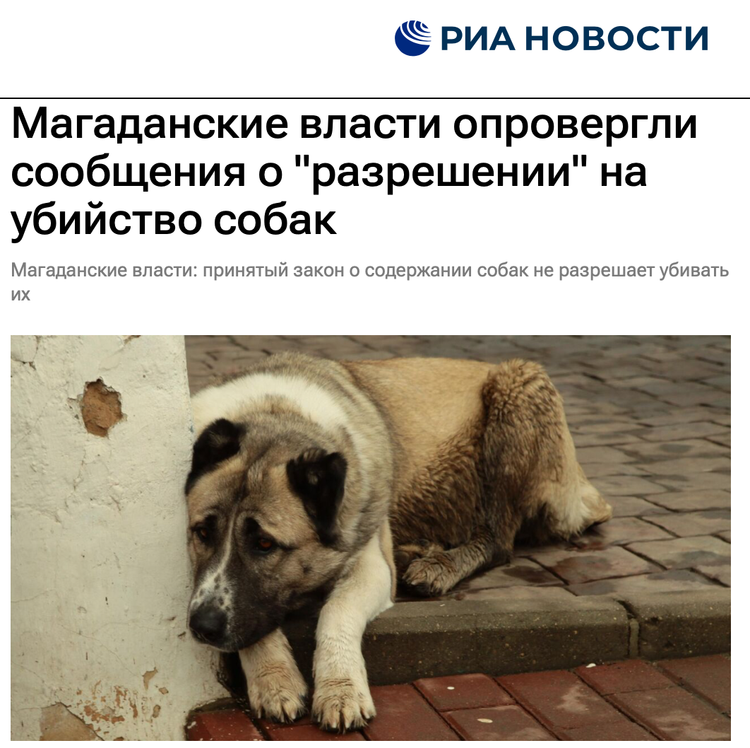 Магаданские власти опровергли сообщения о разрешении на убийство собак