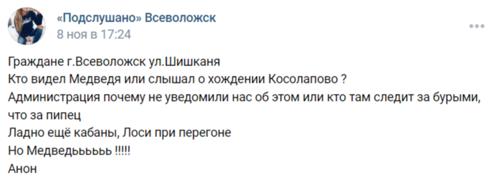Всеволожск ул Шишкарня видели медведя