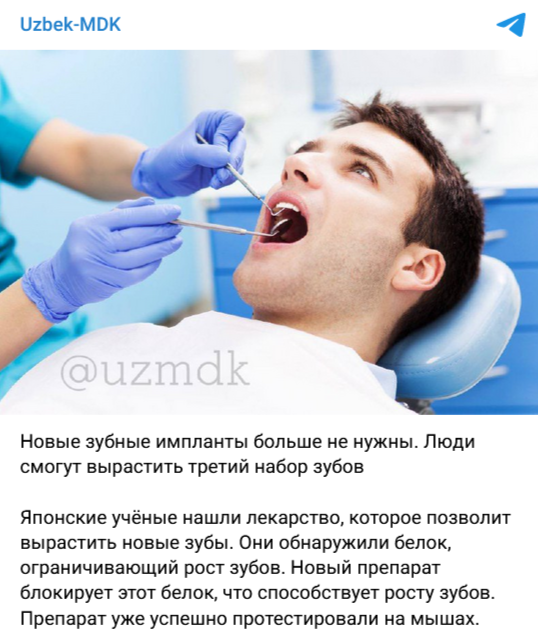 в Японии нашли способ вырастить новые зубы