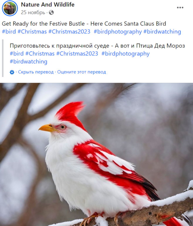 2023 12 29 16 00 42
