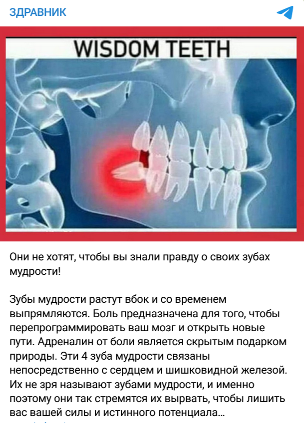 Screenshot 2023 12 26 At 13 03 12 Zdravnik