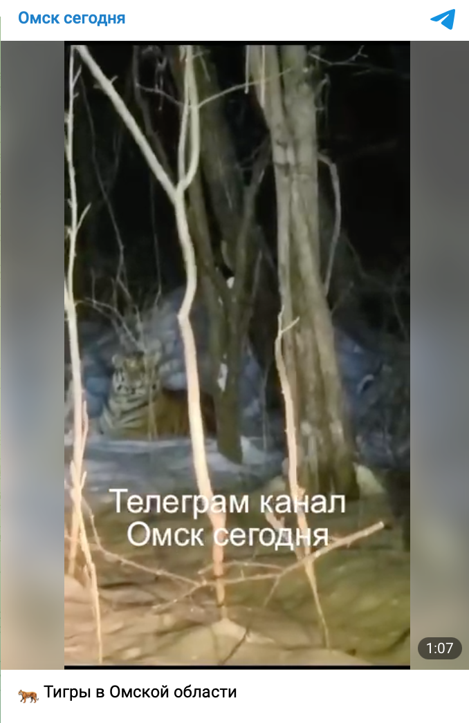 Snimok Jekrana 2023 12 18 V 12.45.13 Pm
