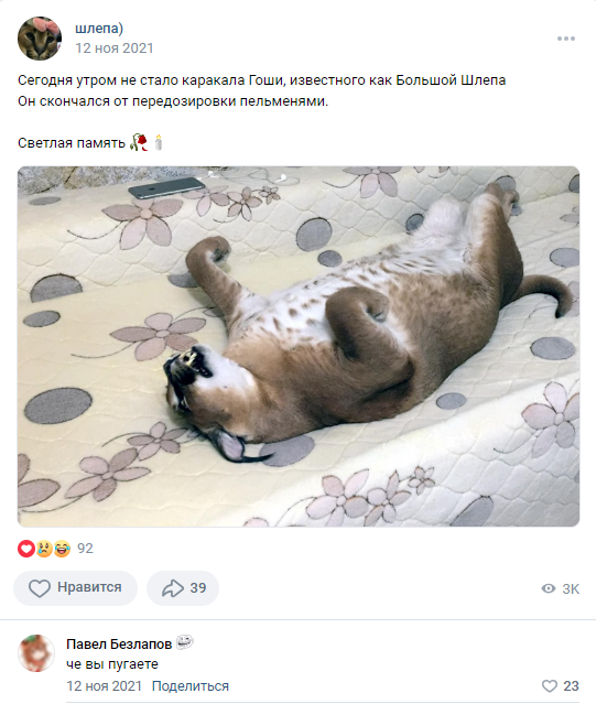 Шлепа скончался от передозировки пельменями