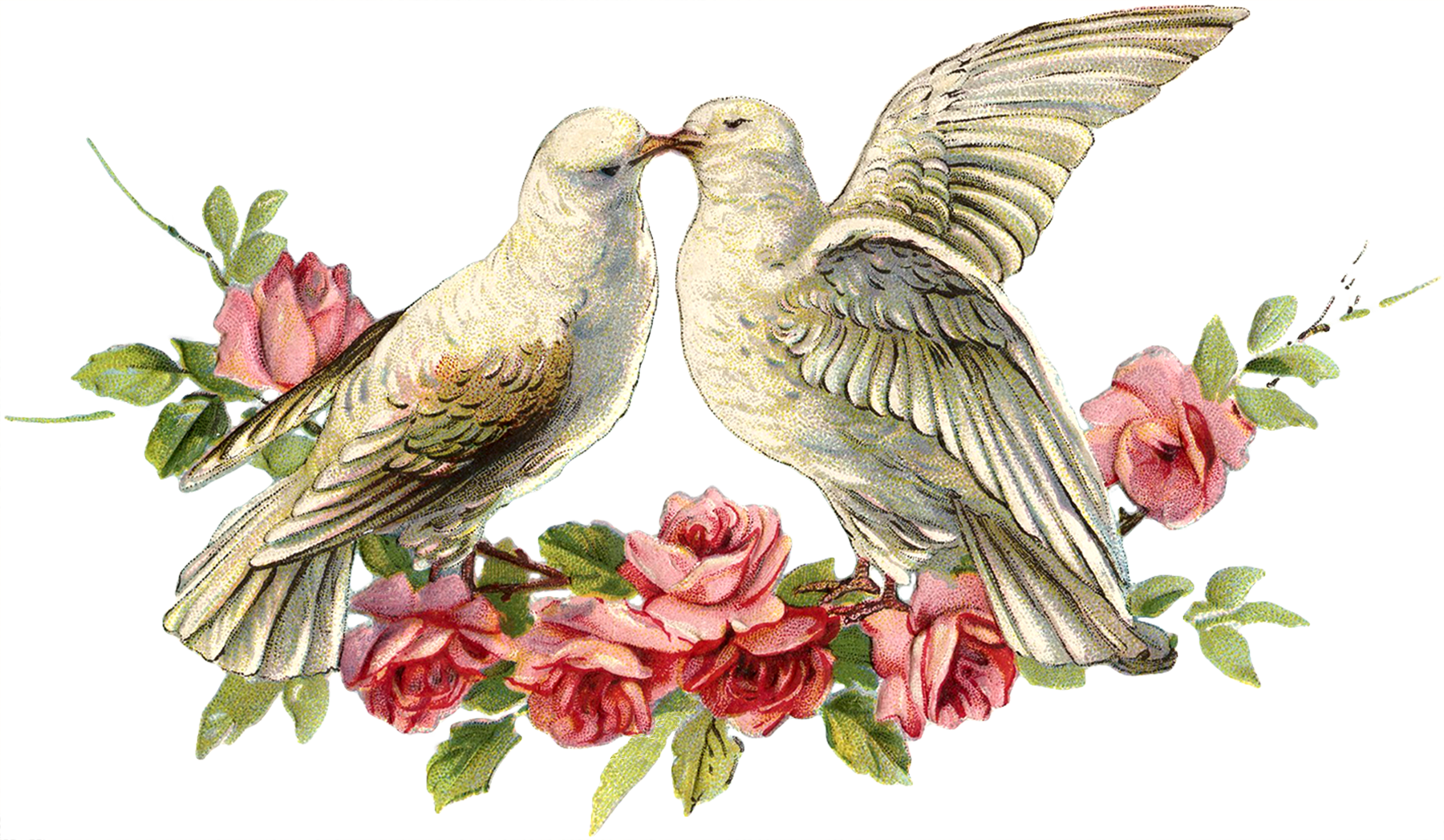 C65b9ce17a5b5181470ccdaa2dd754f9