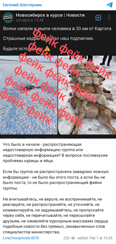 Image 2024 02 02t130817.941
