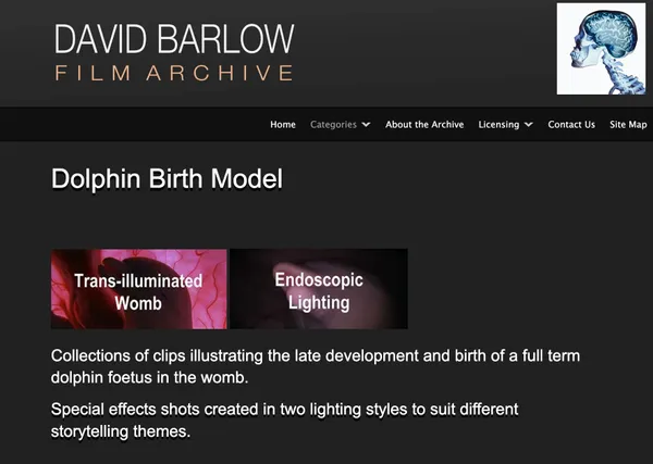 Wwwdavidbarlowarchivecom
