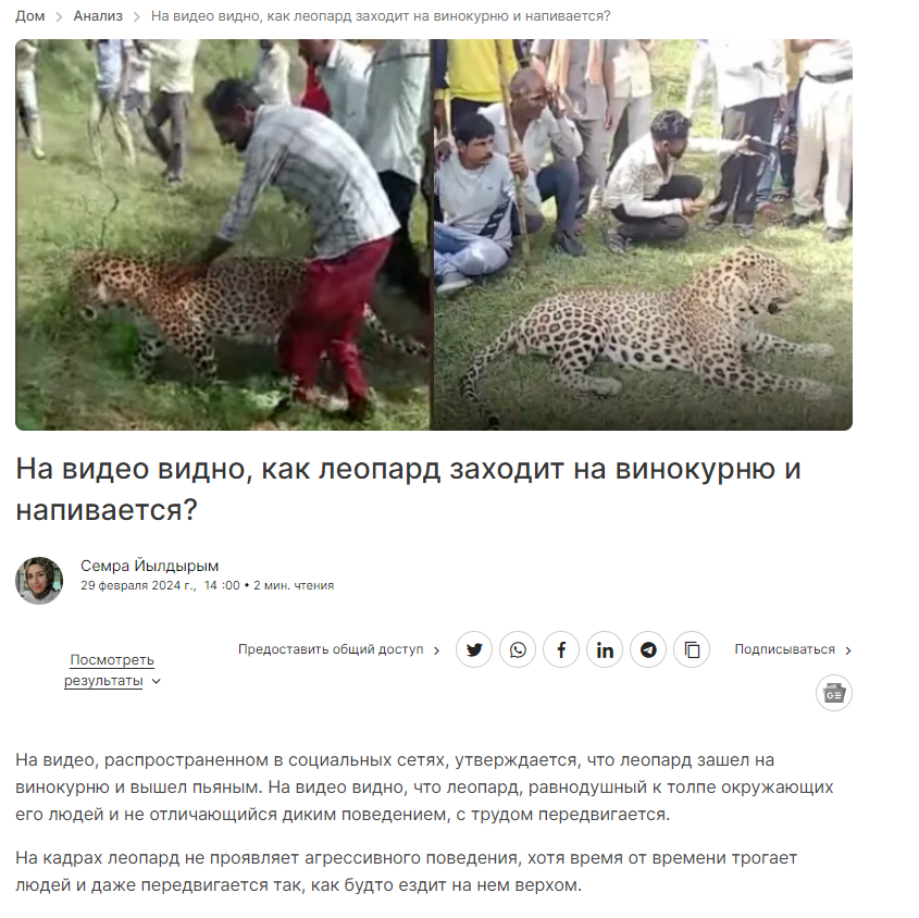 Leopard