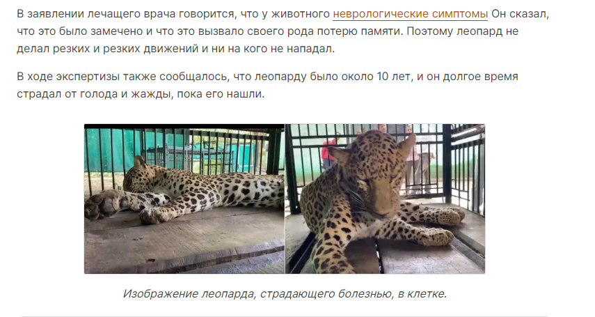 Leopard2
