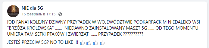 Pticy4 1