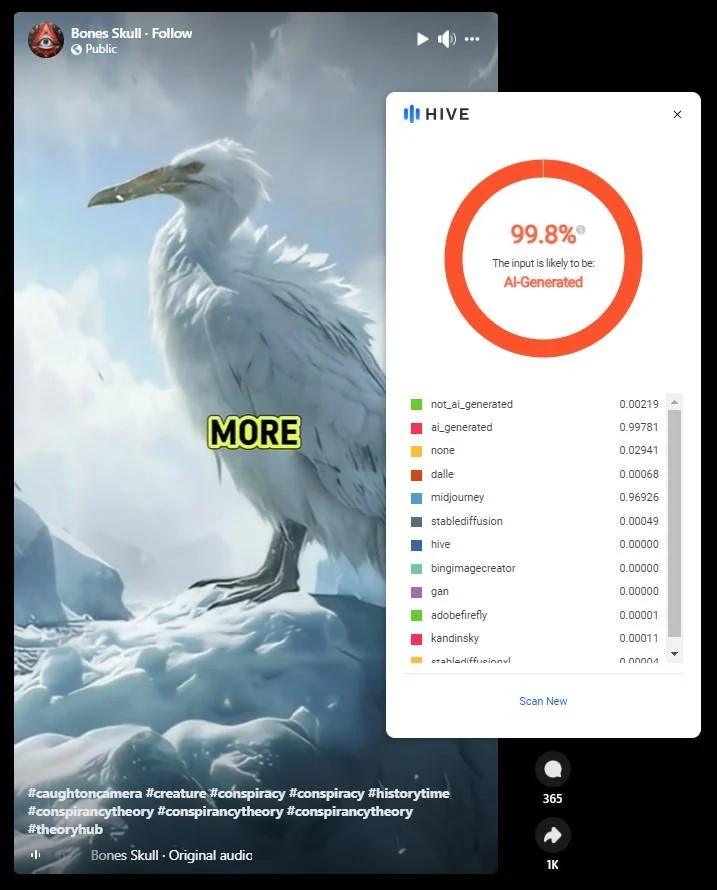 Birddetection