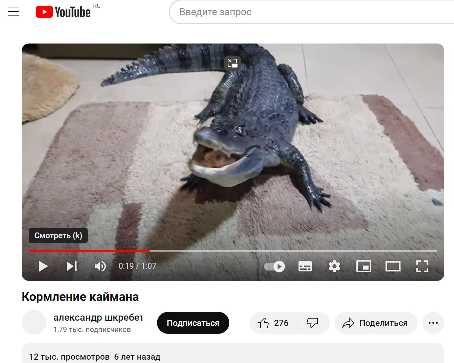 Kormlenie Kajmana