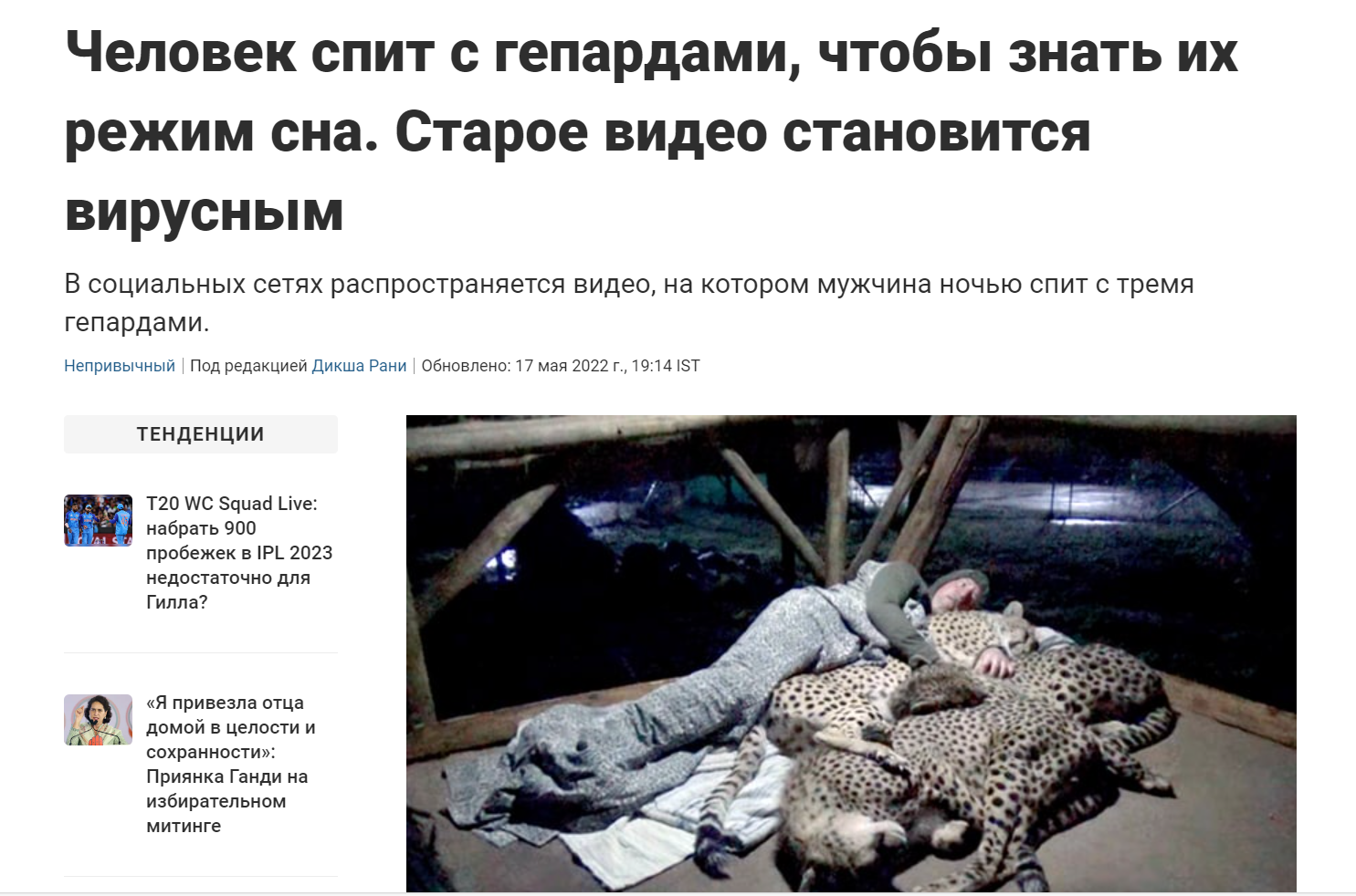 Leopardy Angl
