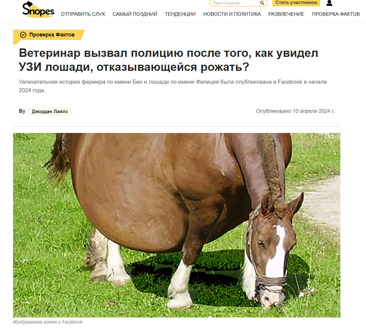 Loshhad Rus