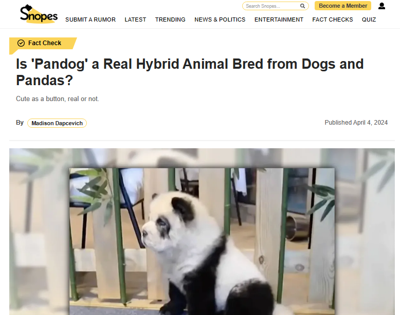 Pandoga Angl