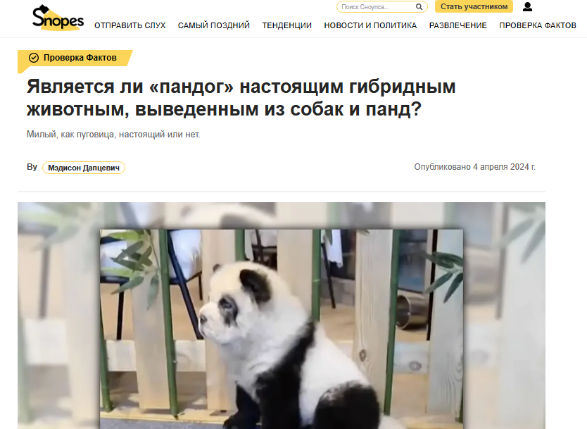 Pandoga Rus