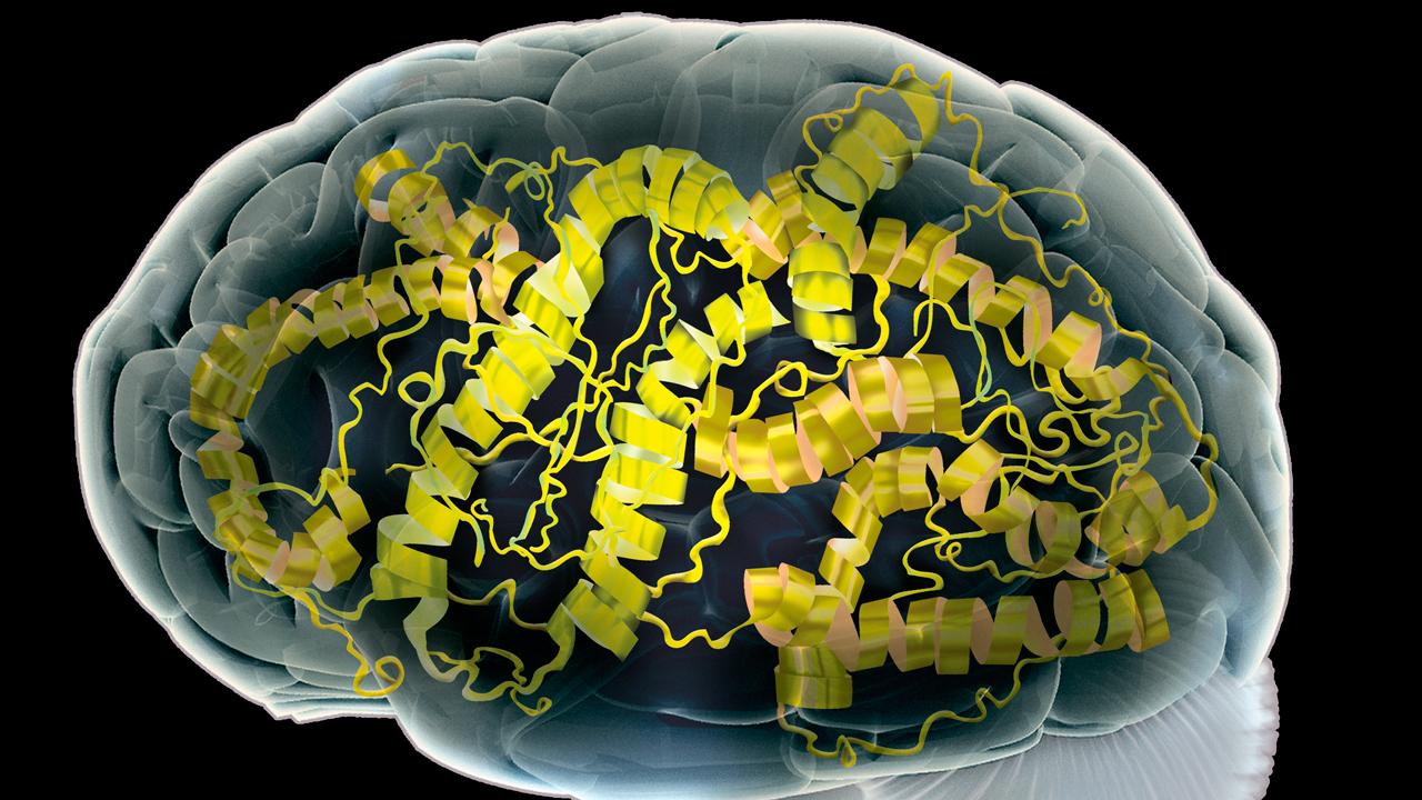Prion