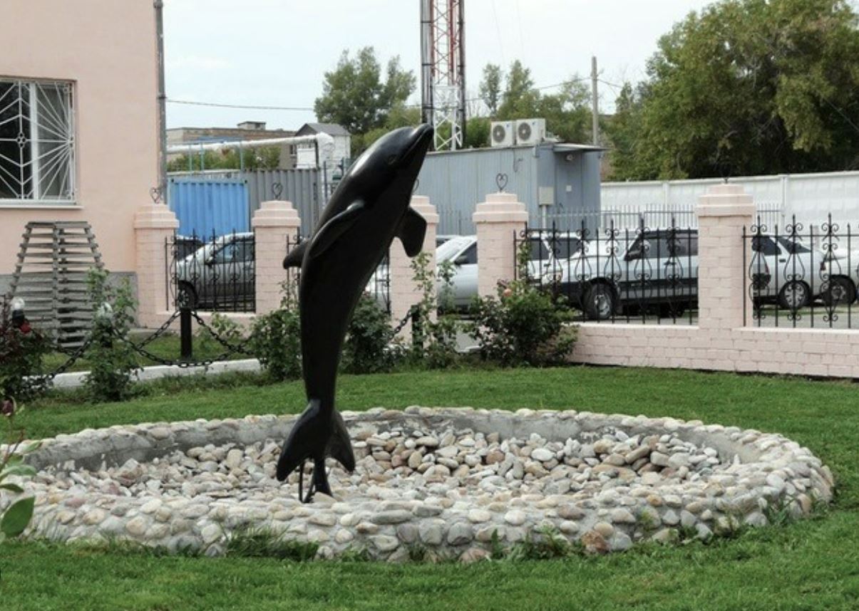 Delfin