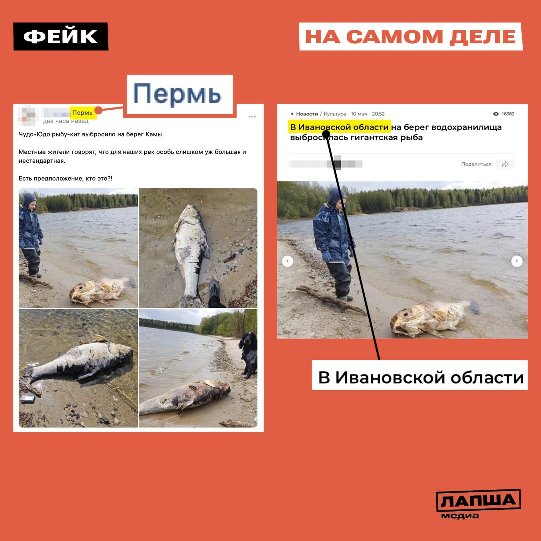 Photo1715699572 1