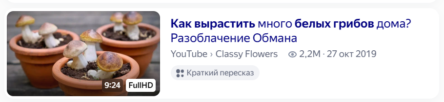 Snimok Jekrana 2024 05 24 175831
