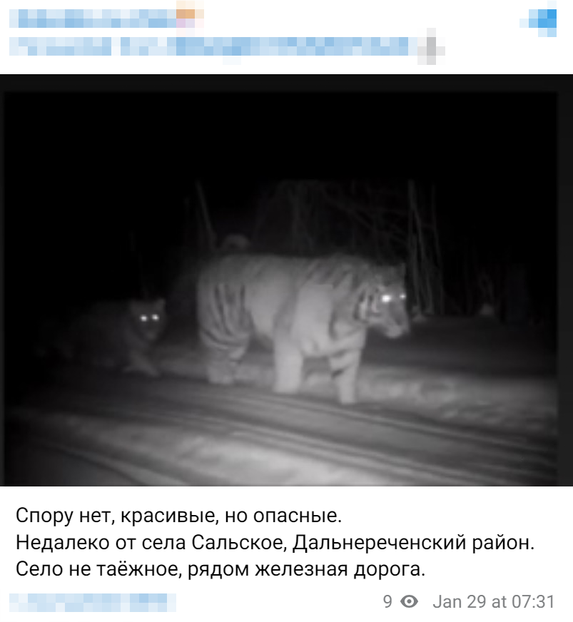 Image 2025 01 29 13 08 16 3