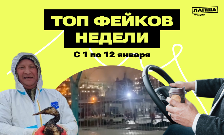 Атака беспилотников на НПЗ в Татарстане, смерть птиц по дороге из Анапы в Краснодар и штрафы за еду и напитки во время вождения