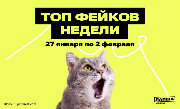 Доступ к маркетплейсам через «Госуслуги», кенгуру в Подмосковье и отъем земель за неиспользование