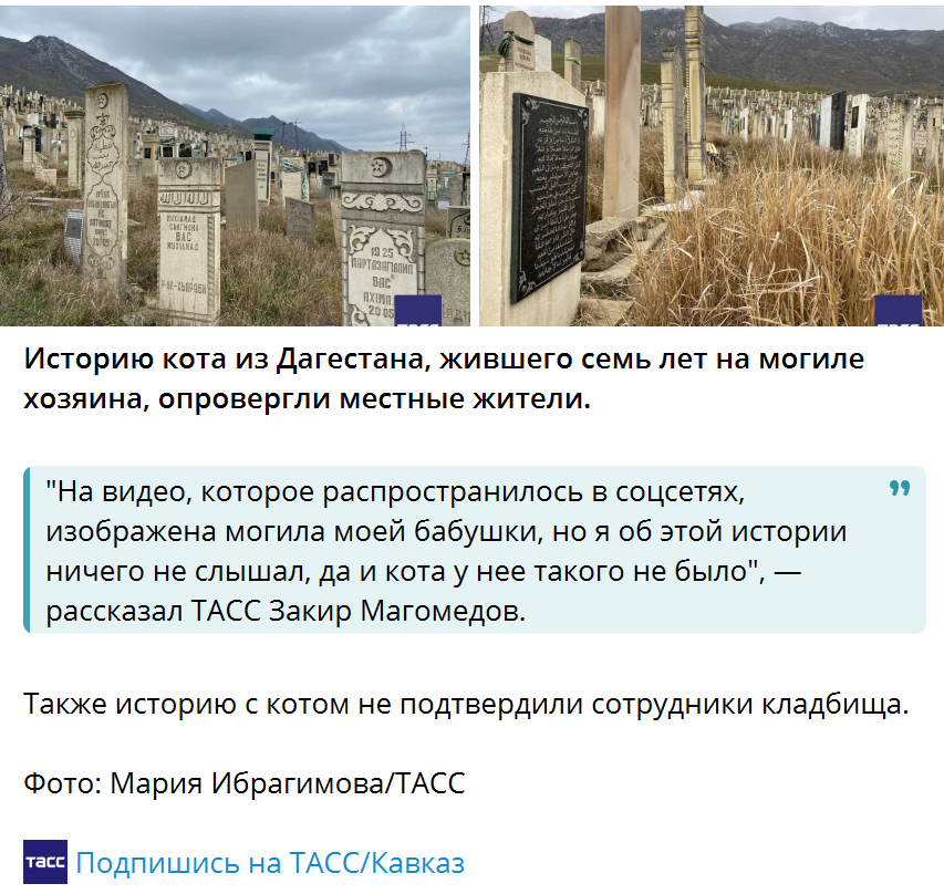 Tass Kavkaz