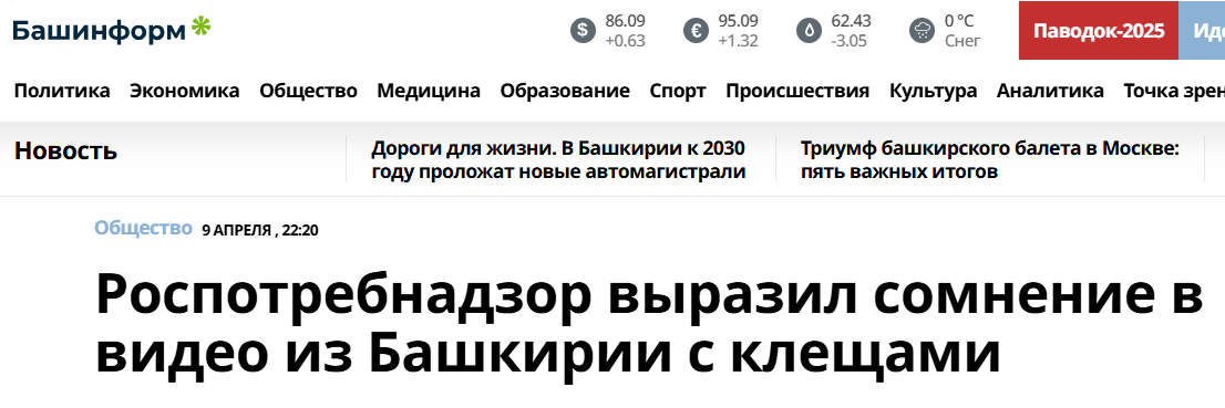 Snimok Jekrana 2025 04 10 173753
