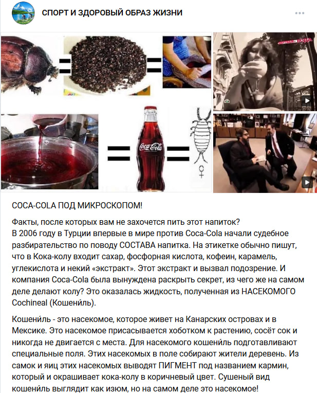 Zhuki Koka Kola