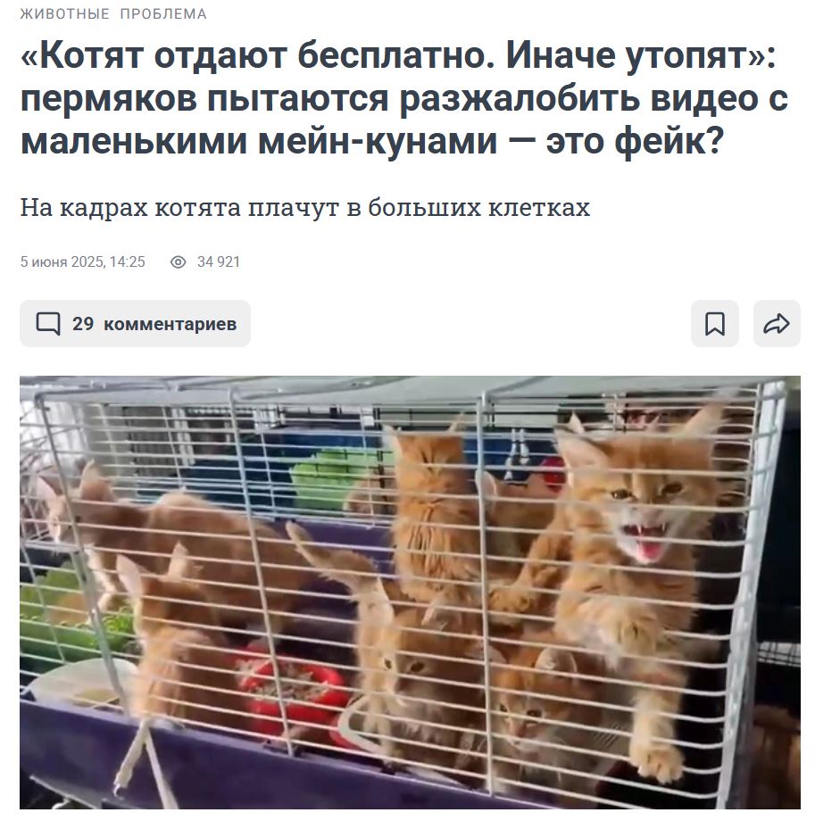 Kotjata