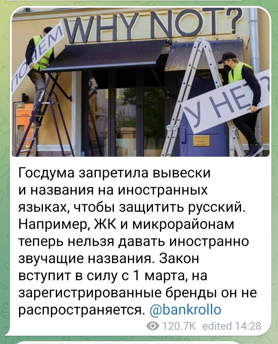Oblozhka 1