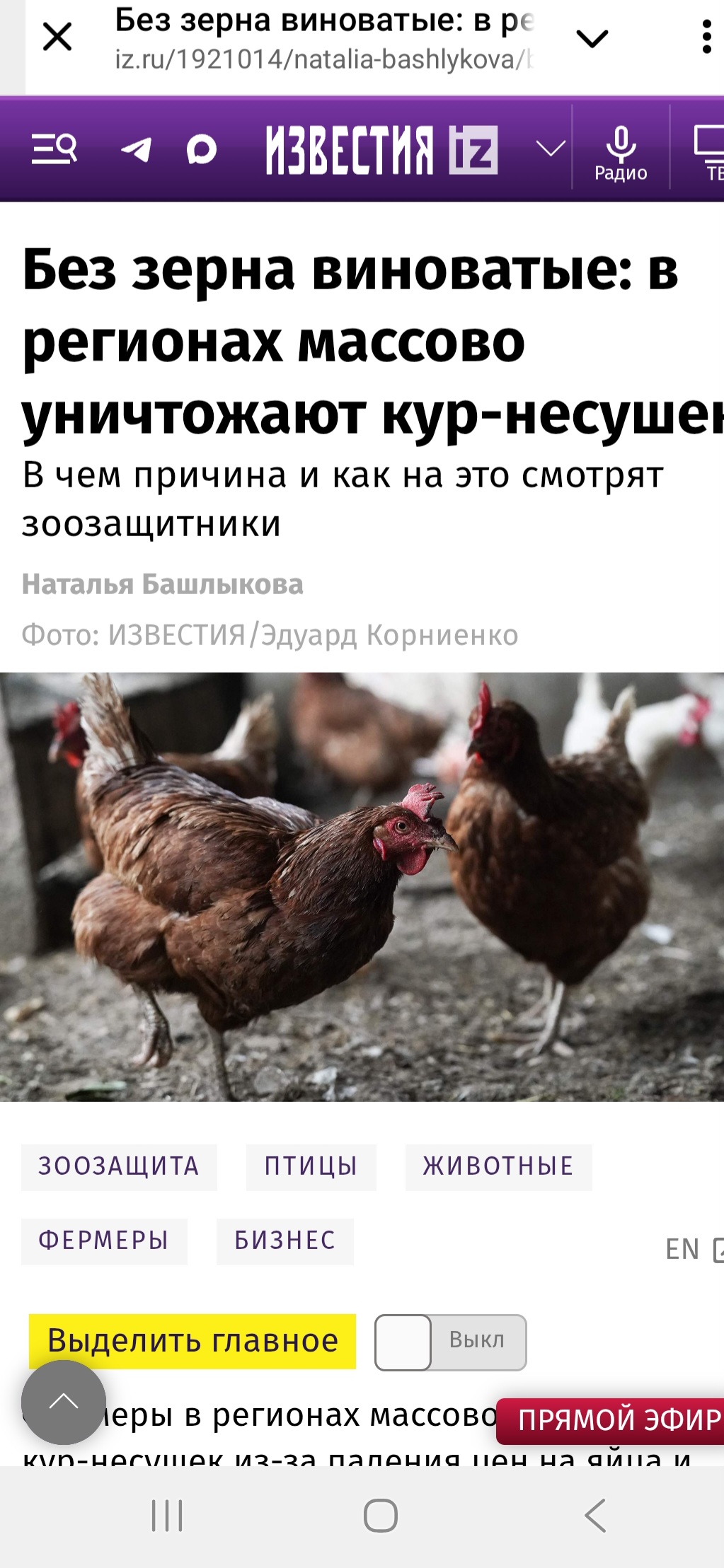Screenshot 20250728 234247 Telegram