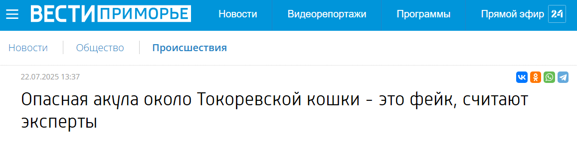 Snimok Jekrana 2025 07 22 122139