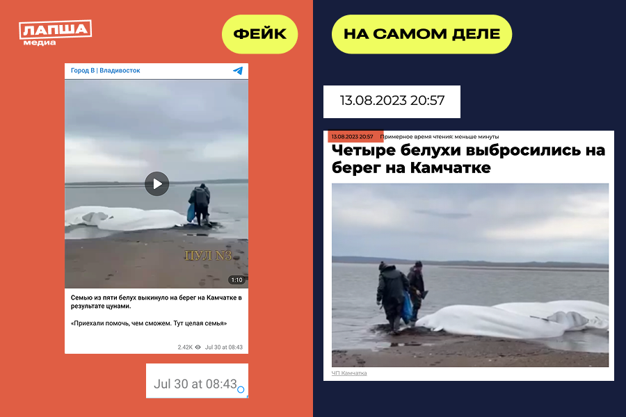 Sravnenie 1 2 Gorizont