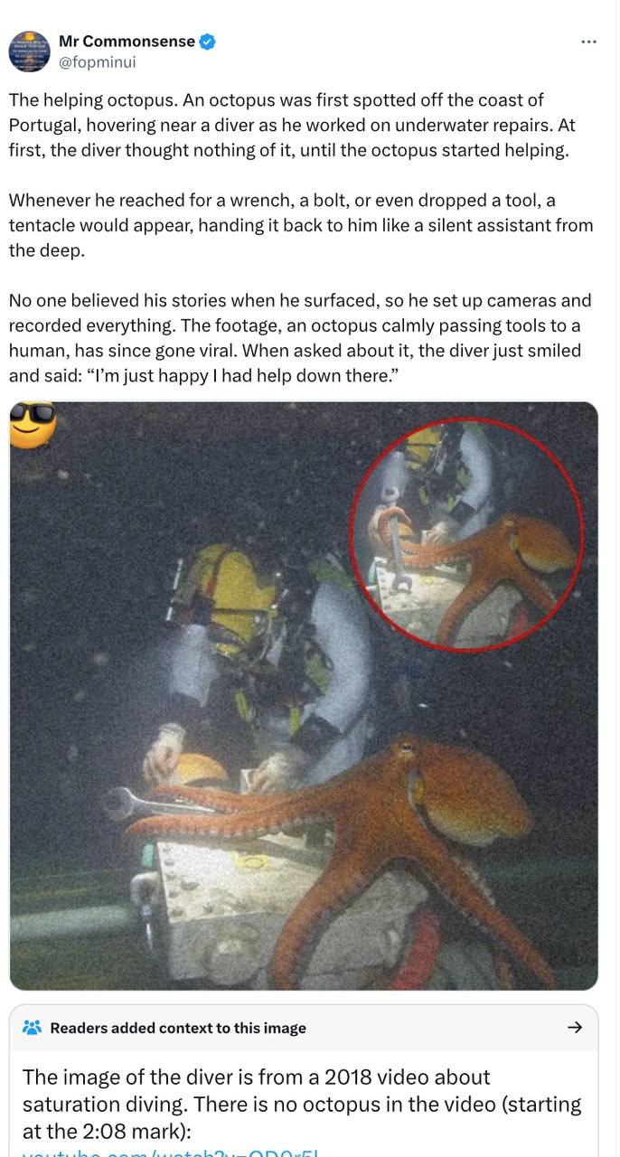 Photo 2025 10 28 13 31 47