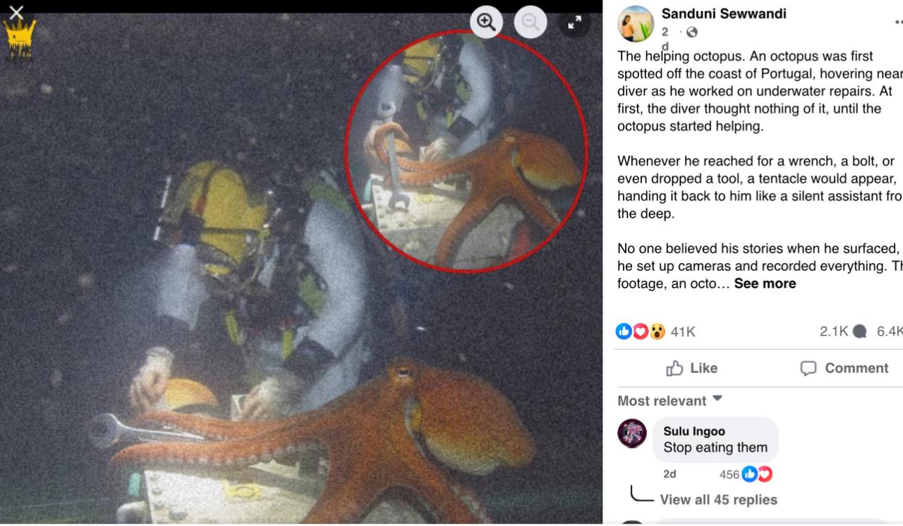 Photo 2025 10 28 13 31 49