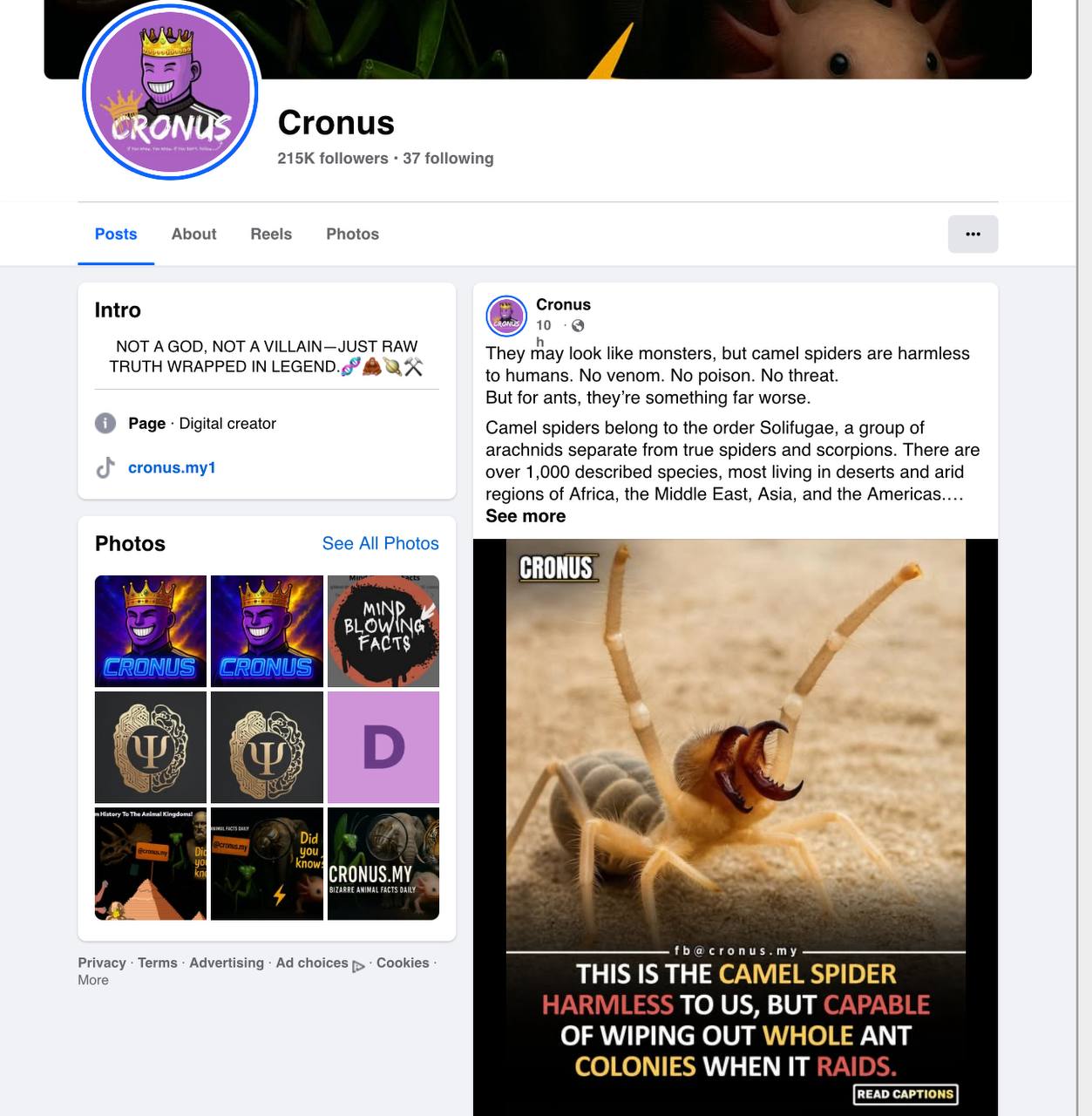 Photo 2025 10 28 14 47 01